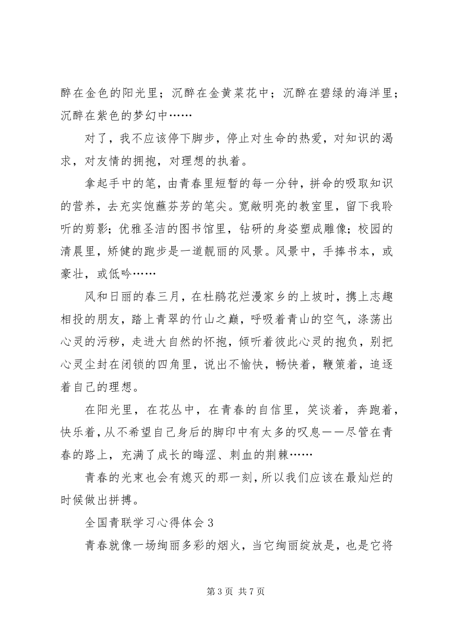 2023年全国青联学习心得体会.docx_第3页