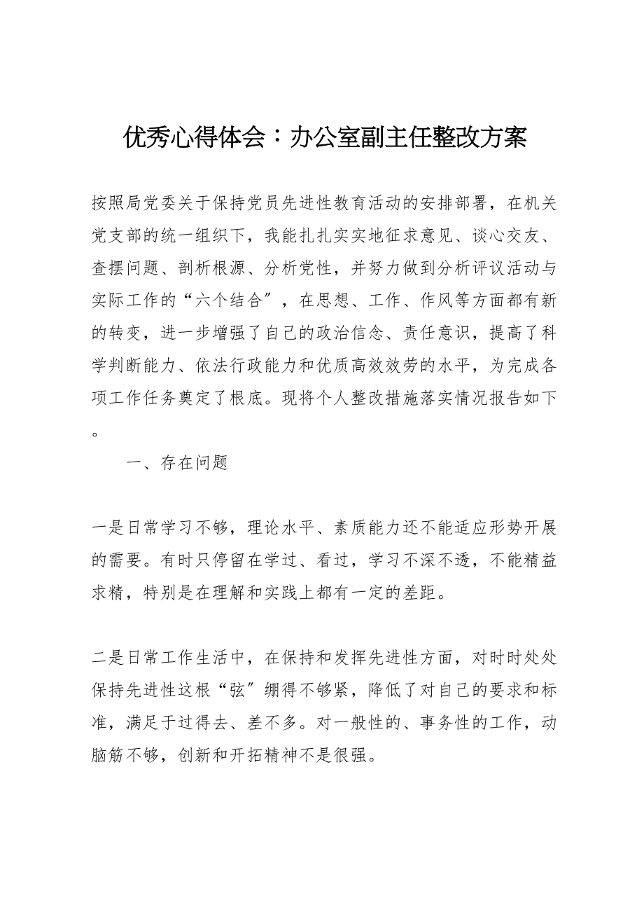 2023年优秀心得体会办公室副主任整改方案 .doc_第1页