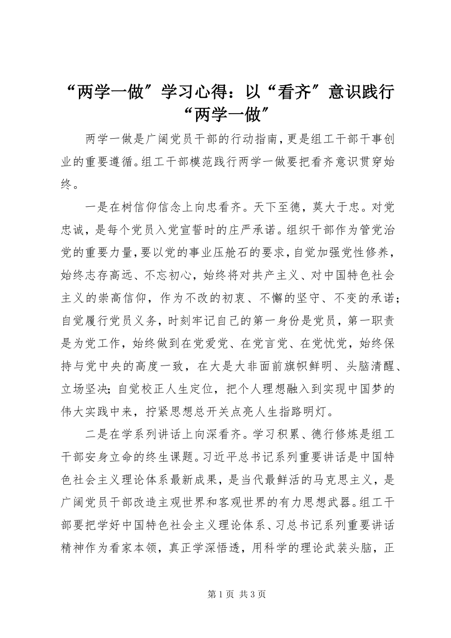 2023年两学一做学习心得以看齐意识践行两学一做.docx_第1页