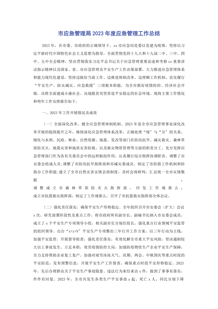 2023年市应急管理局度应急管理工作总结2.docx_第1页