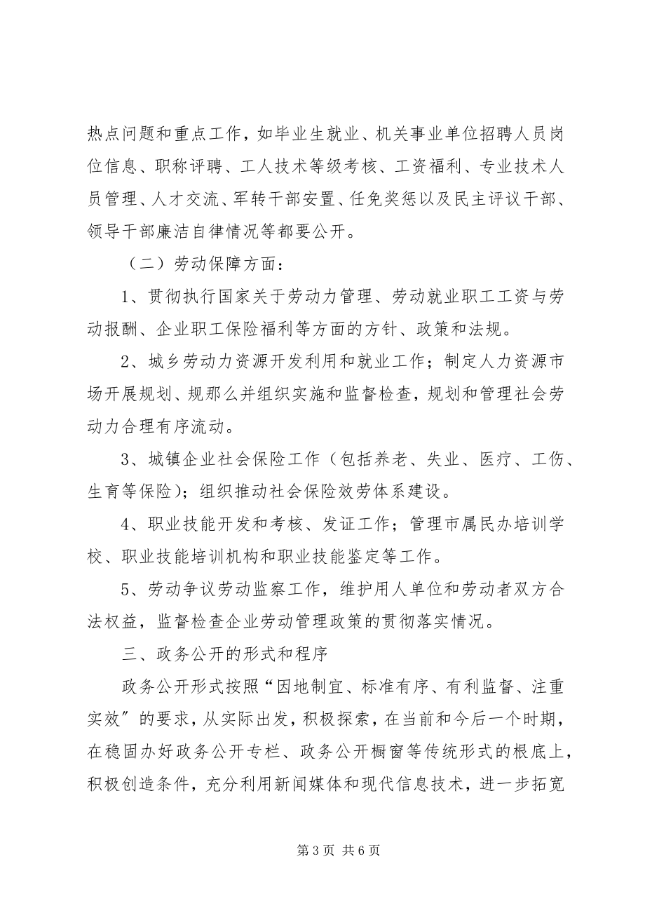 2023年XX政务公开实施方案新编.docx_第3页