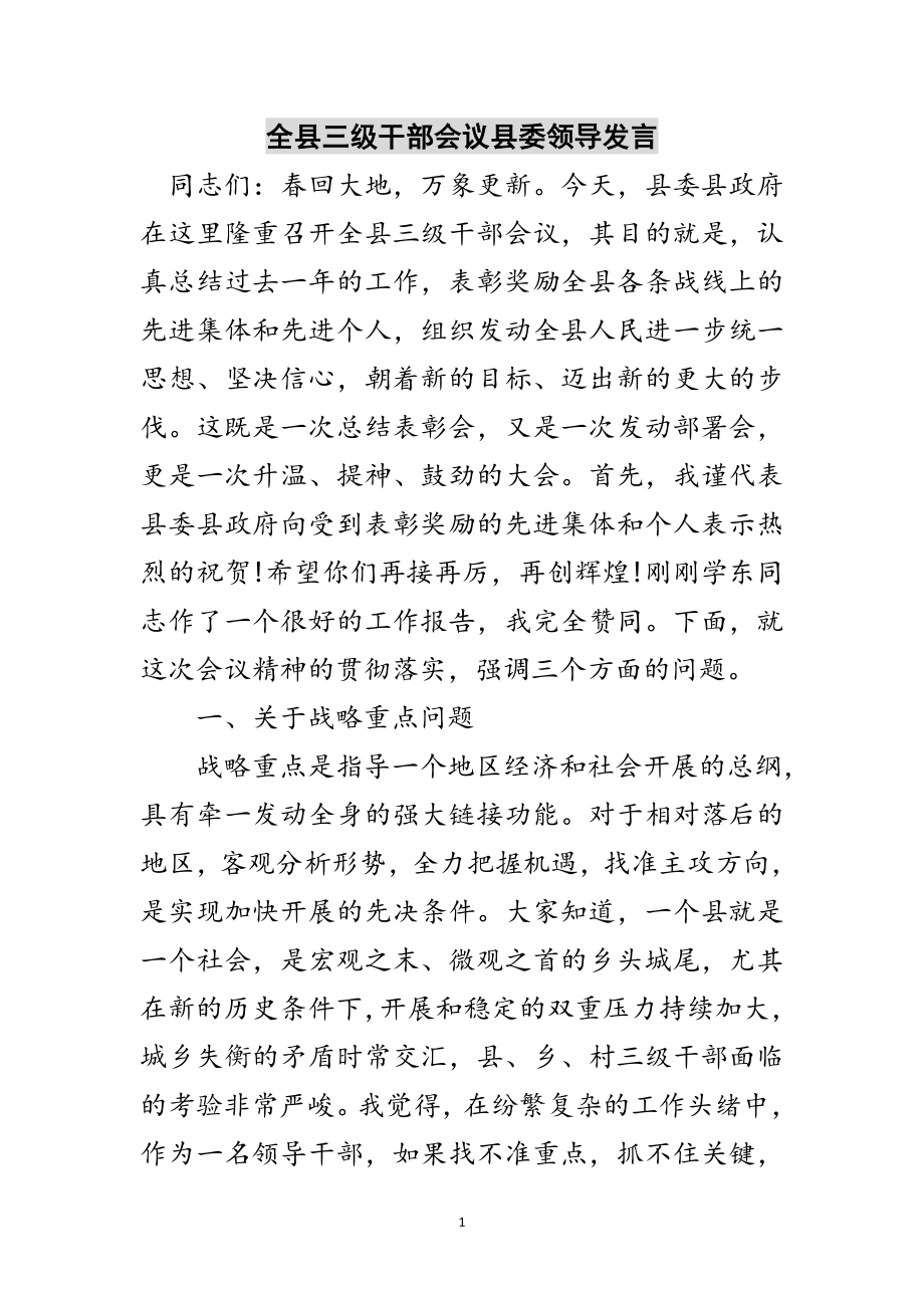 2023年全县三级干部会议县委领导发言范文.doc_第1页