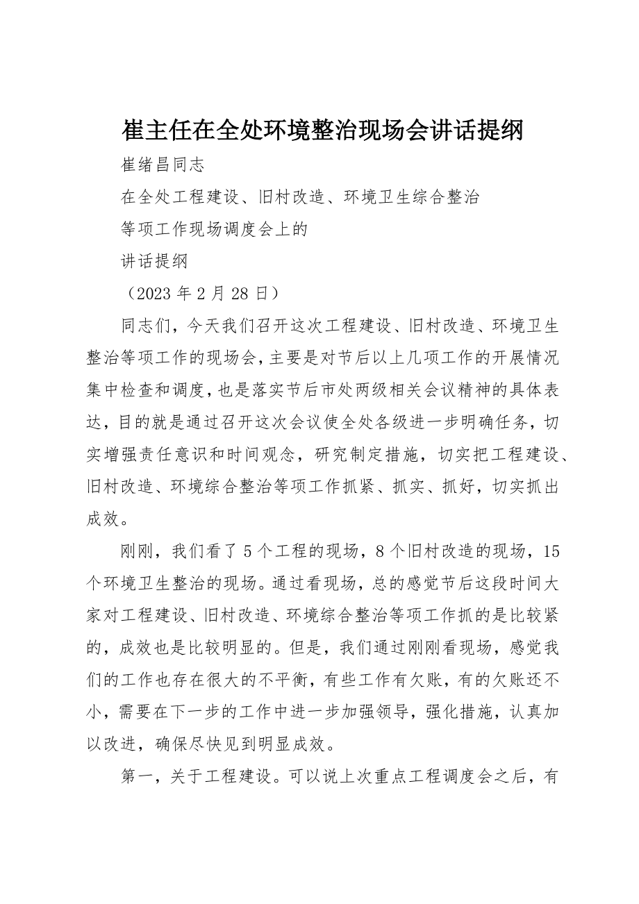 2023年崔主任在全处环境整治现场会致辞提纲新编.docx_第1页