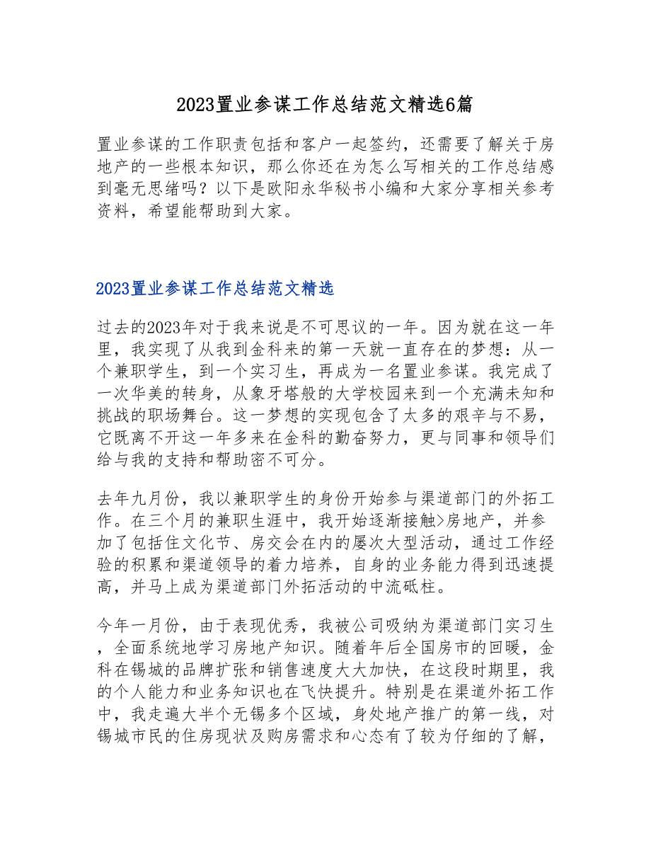 2023置业顾问工作总结6篇.doc_第1页