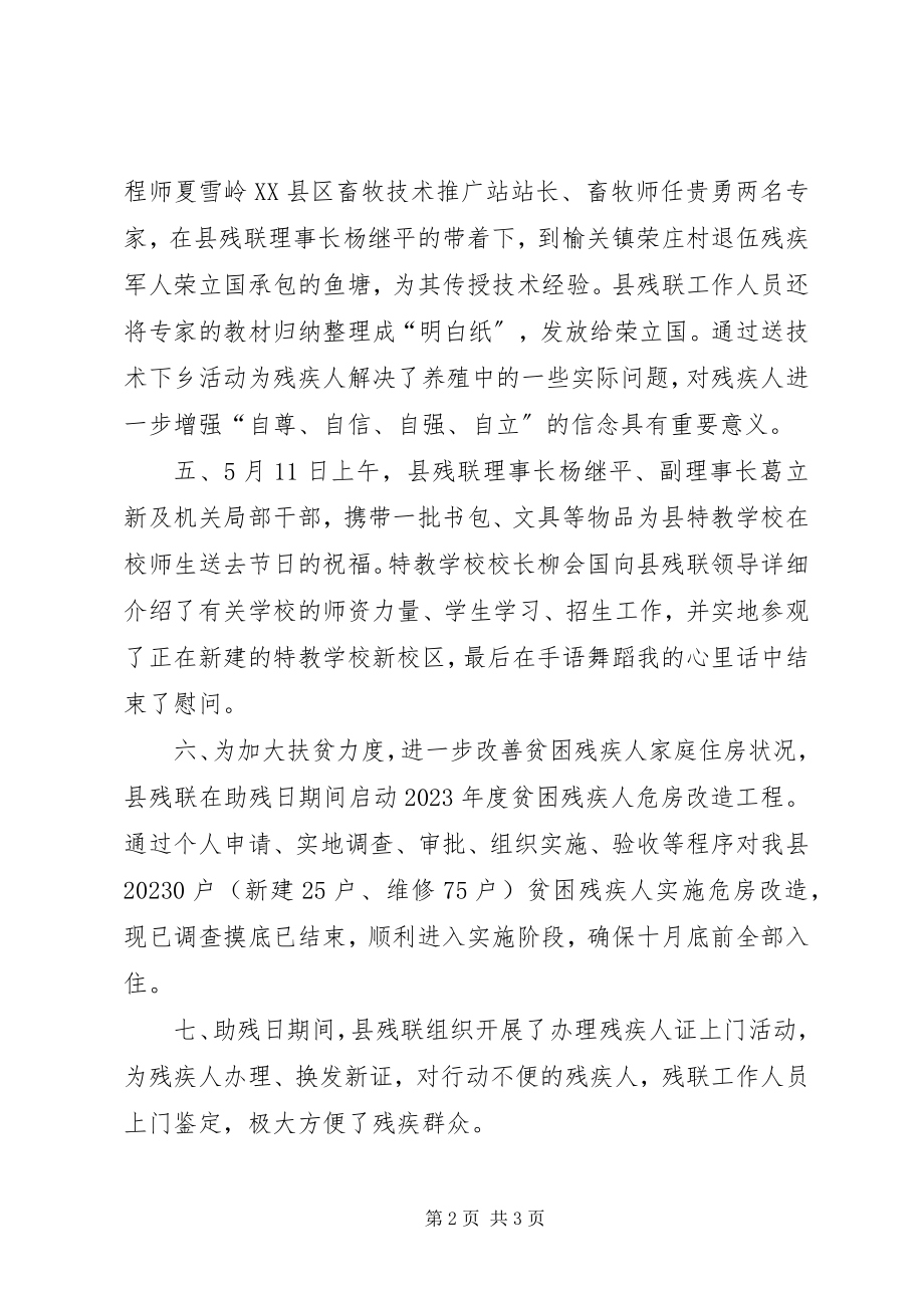 2023年县残联第二十一次全国助残日活动总结.docx_第2页