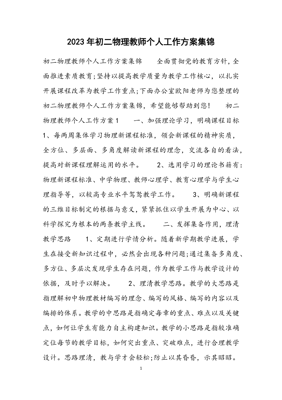 2023年初二物理教师个人工作计划集锦.docx_第1页