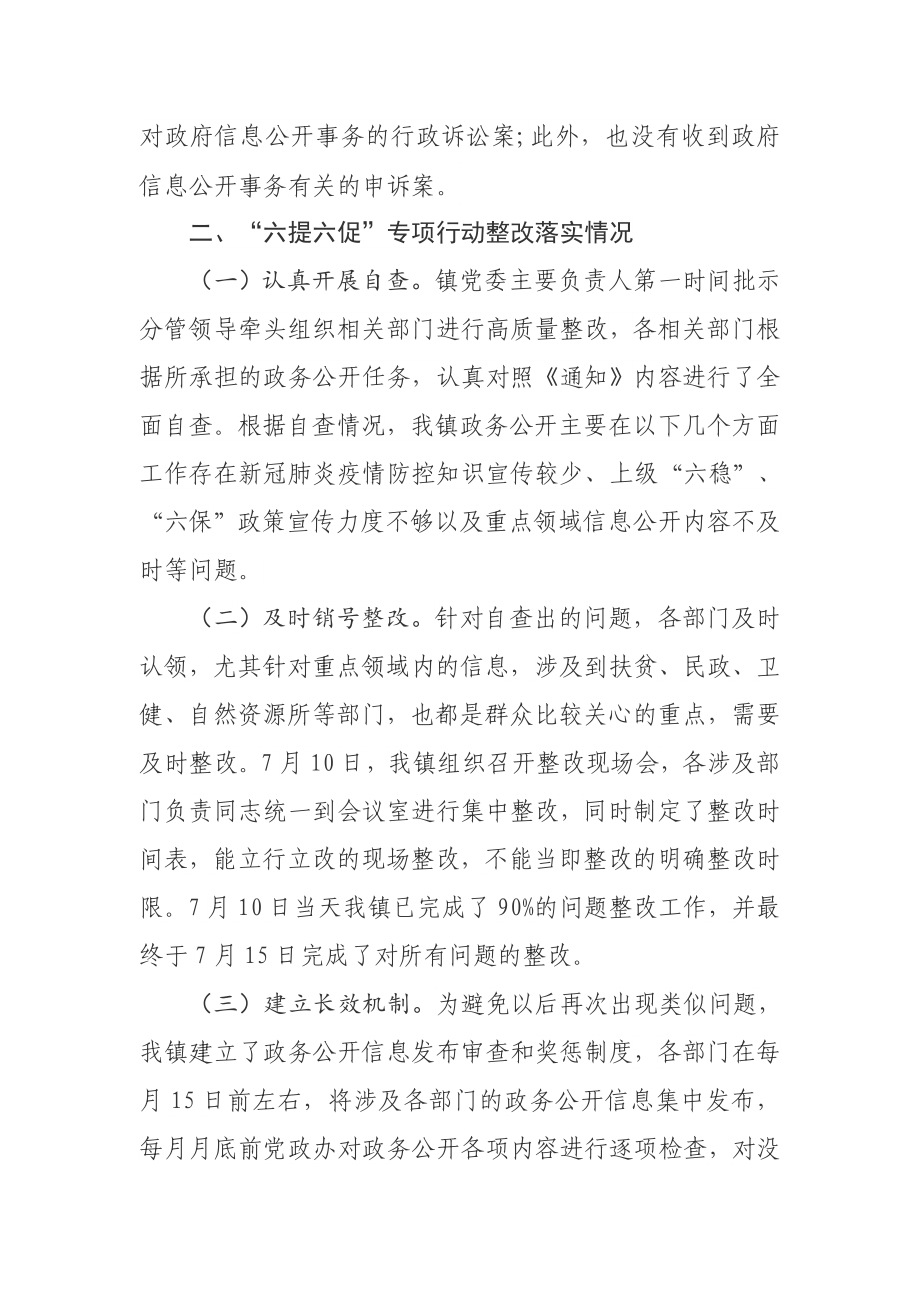 乡镇2020年政务信息公开工作总结.docx_第2页