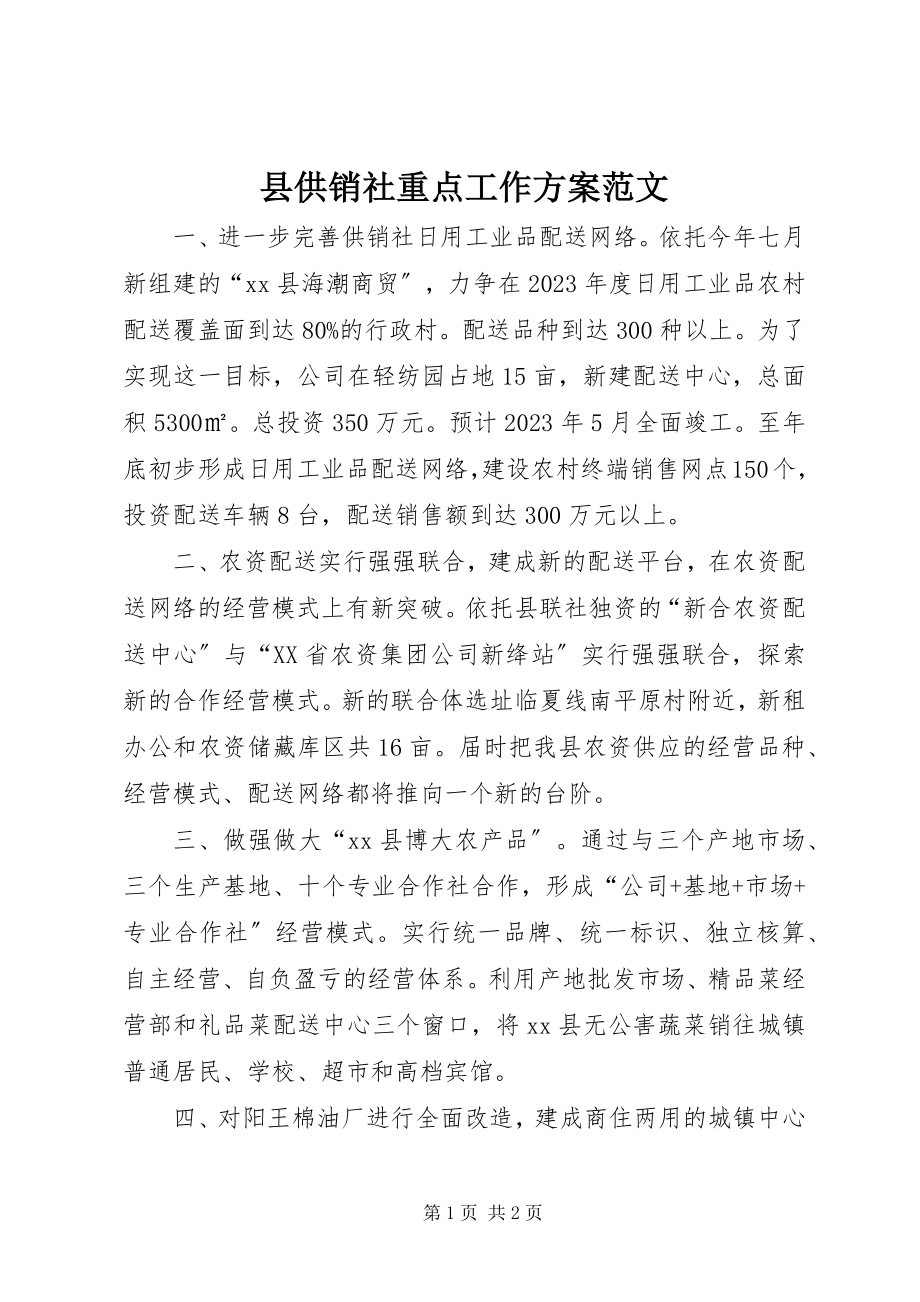 2023年县供销社重点工作计划.docx_第1页