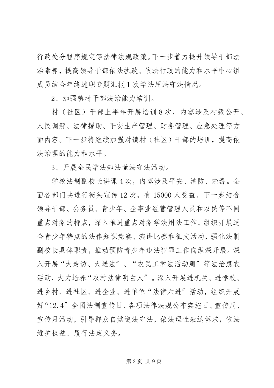 2023年依法治理半年工作计划.docx_第2页