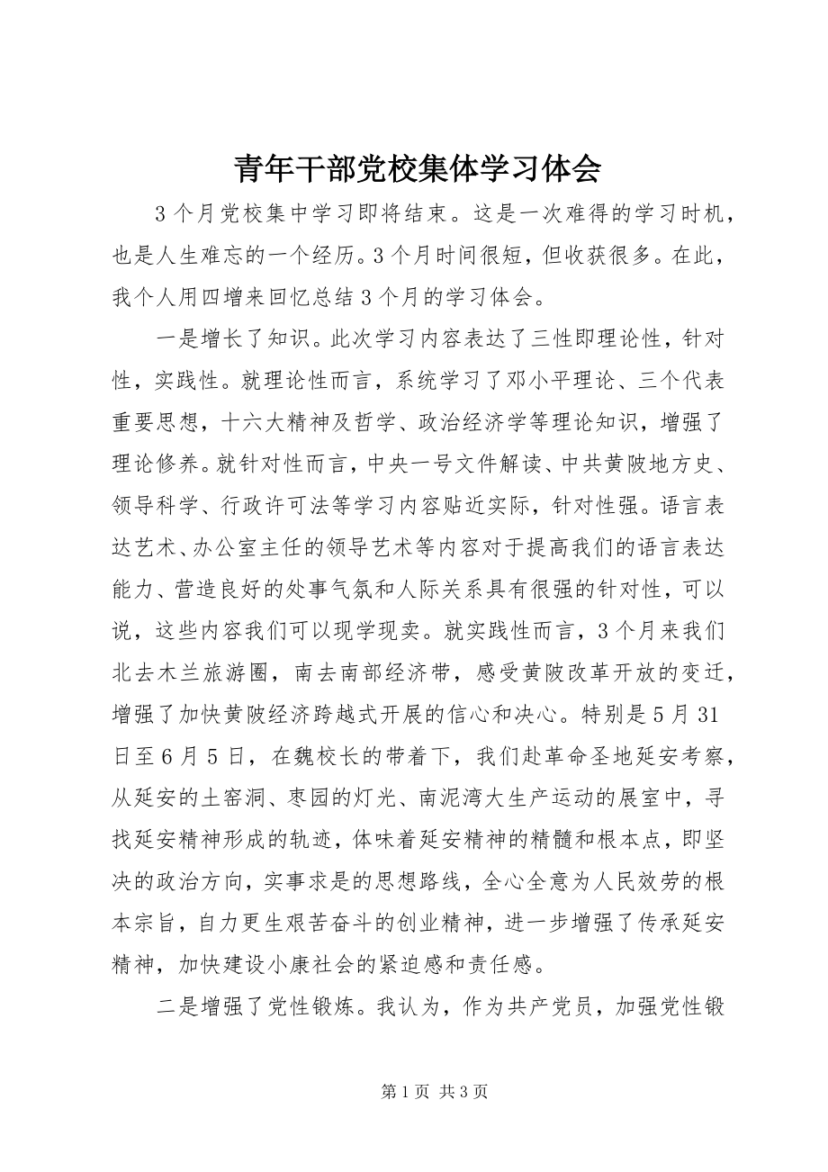 2023年青年干部党校集体学习体会.docx_第1页