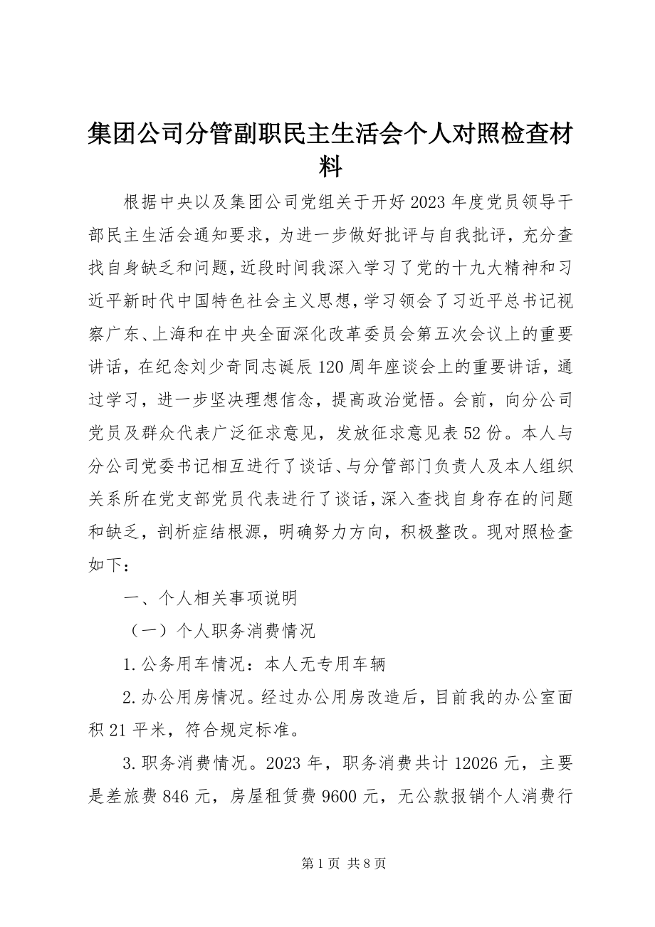 2023年集团公司分管副职民主生活会个人对照检查材料.docx_第1页