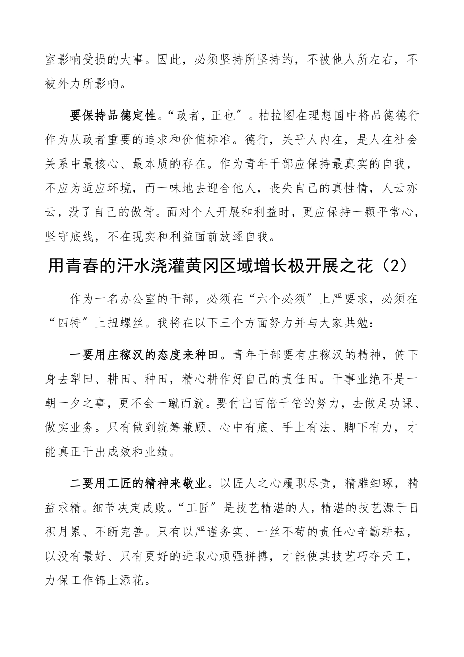 2023年政府办公室青年干部演讲稿、座谈会发言材料5篇年轻干部.docx_第2页