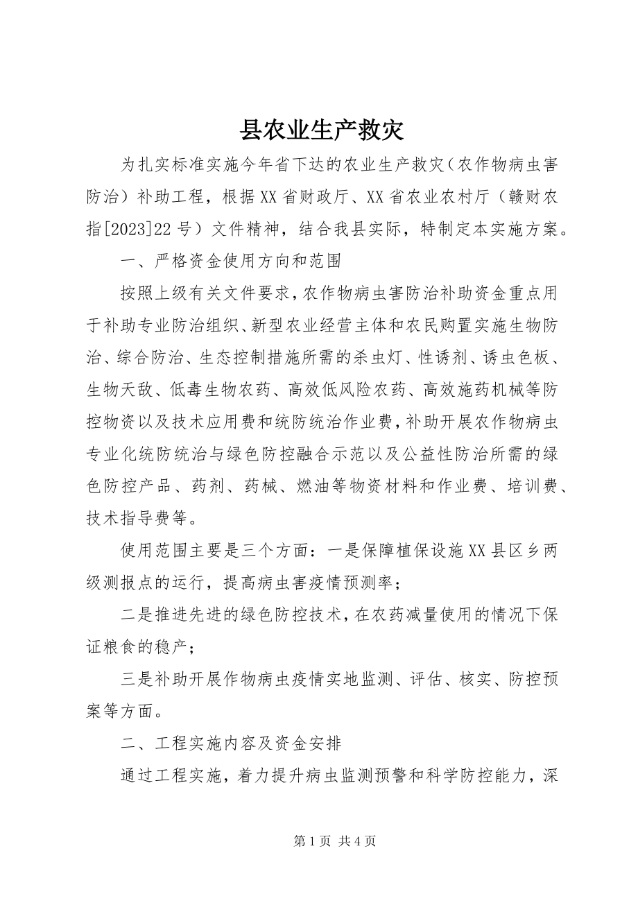 2023年县农业生产救灾.docx_第1页