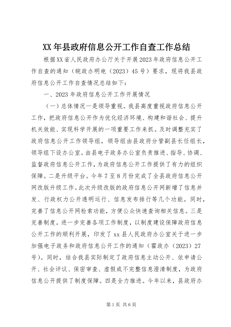 2023年县政府信息公开工作自查工作总结.docx_第1页