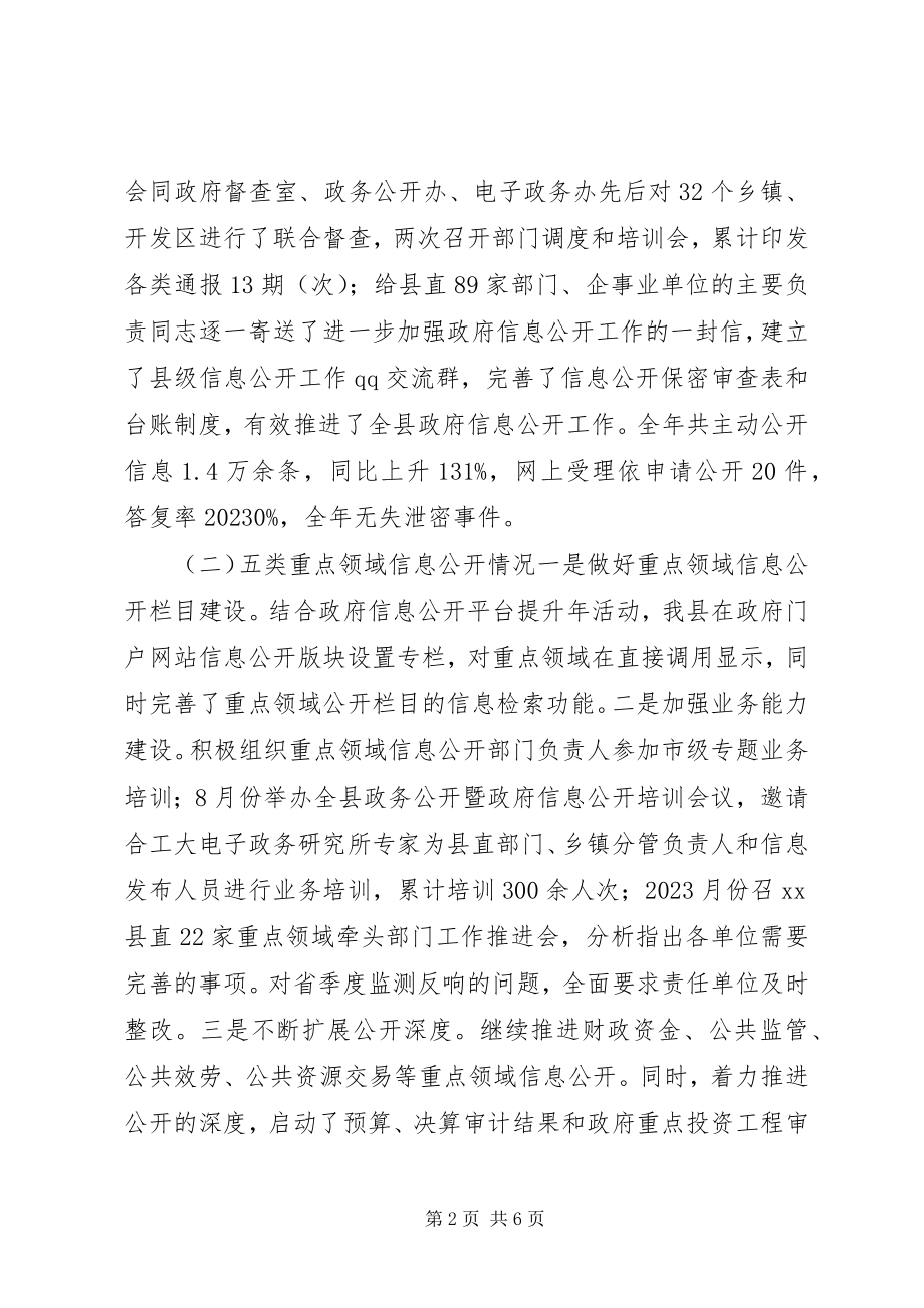 2023年县政府信息公开工作自查工作总结.docx_第2页