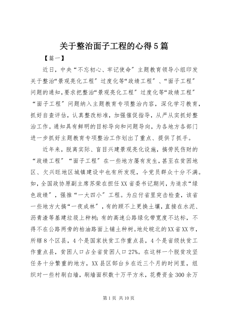 2023年整治面子工程的心得5篇.docx_第1页