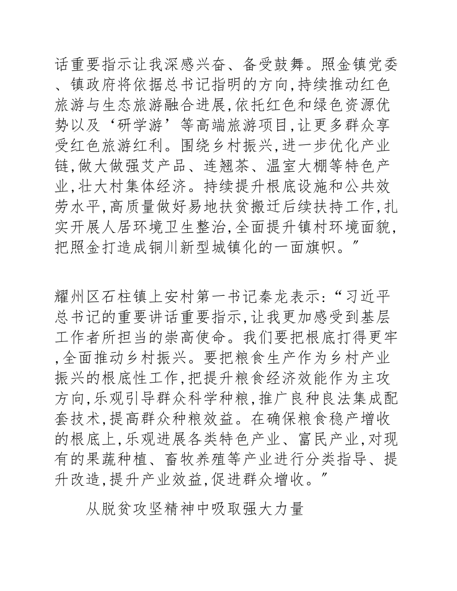 2023年陕西弘扬脱贫攻坚精神 全面推进乡村振兴通讯稿.docx_第3页