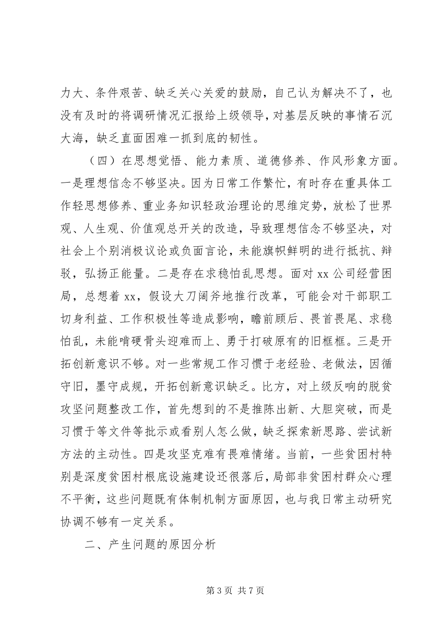 2023年县政府班子成员主题教育个人对照检视检查材料.docx_第3页