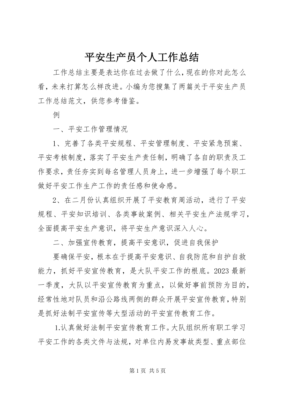 2023年安全生产员个人工作总结新编.docx_第1页