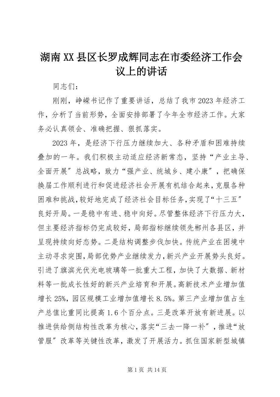 2023年湖南XX县区长罗成辉同志在市委经济工作会议上的致辞.docx_第1页