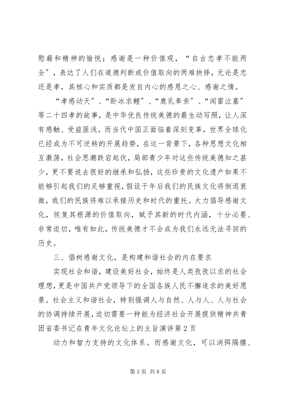 2023年共青团省委书记在青年文化论坛上的主旨演讲.docx_第3页