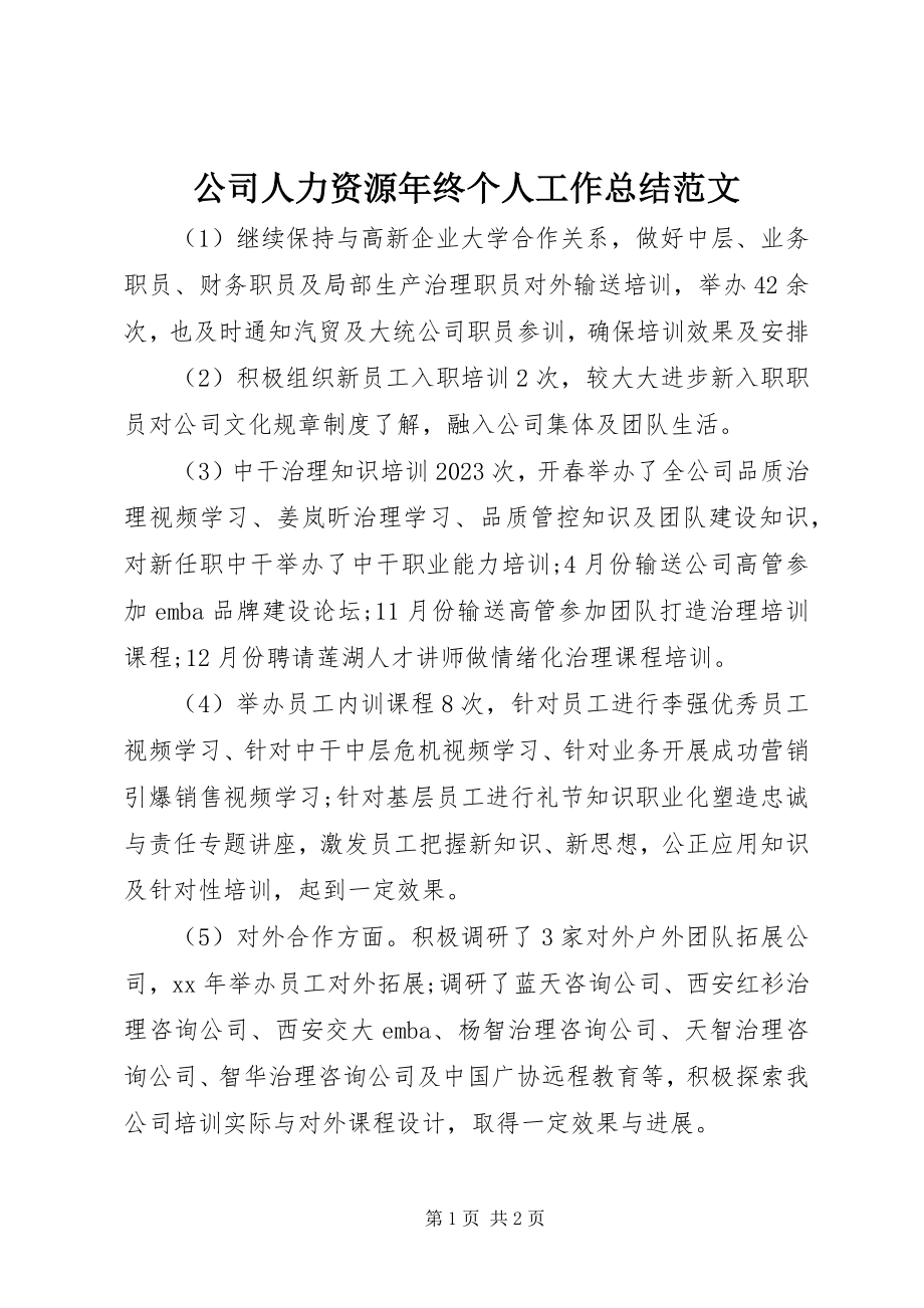 2023年公司人力资源年终个人工作总结.docx_第1页