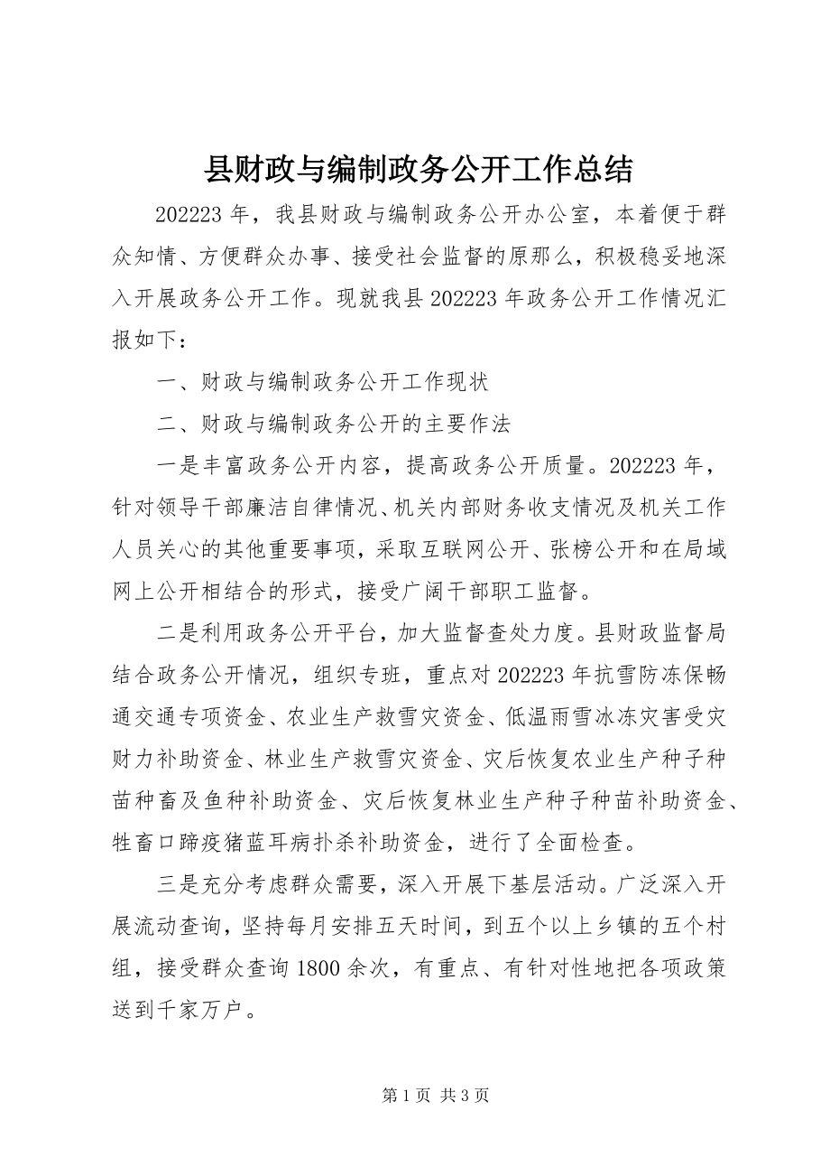 2023年县财政与编制政务公开工作总结.docx_第1页