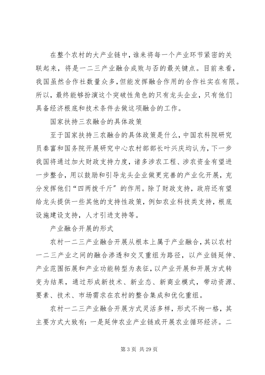 2023年远景设计院浅谈推进农村三产业融合发展.docx_第3页