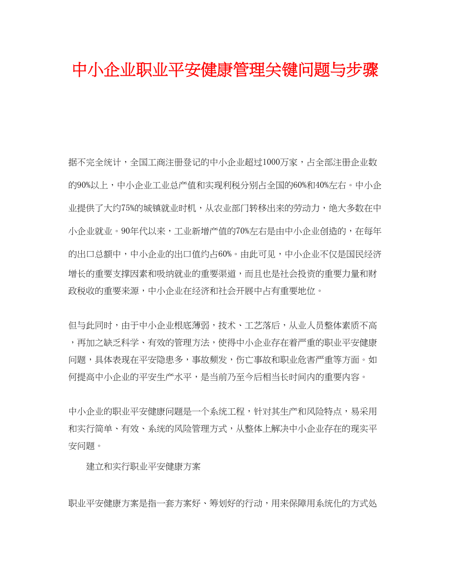 2023年《管理体系》之中小企业职业安全健康管理关键问题与步骤.docx_第1页