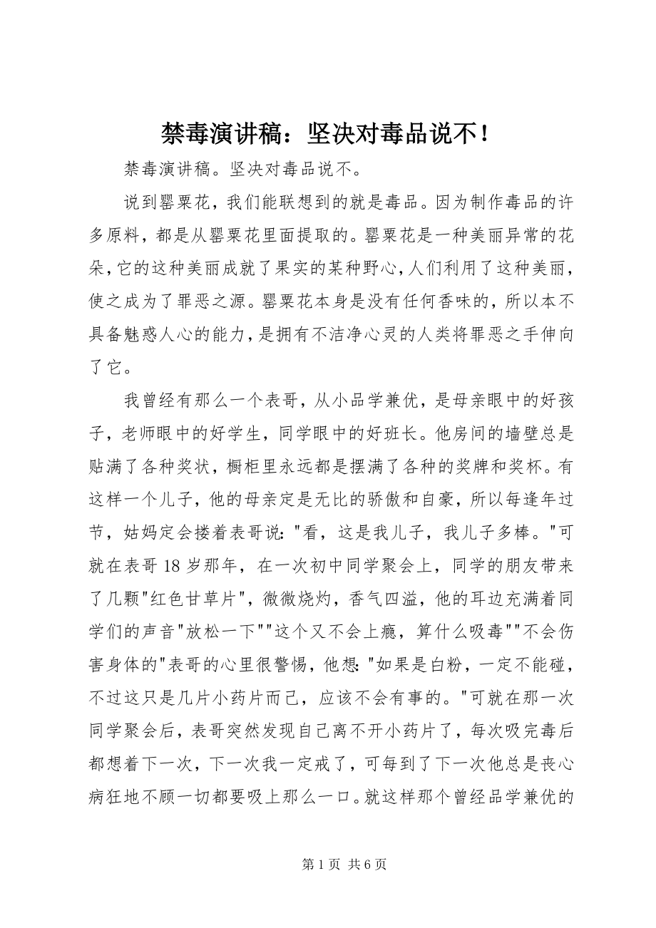 2023年禁毒演讲稿坚决对毒品说不！.docx_第1页