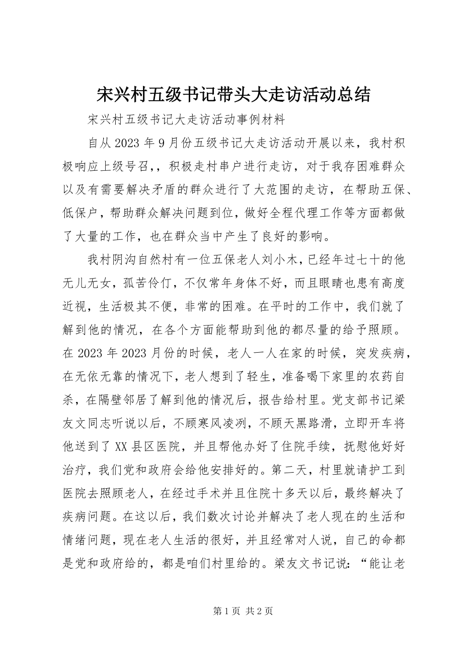 2023年宋兴村五级书记带头大走访活动总结.docx_第1页