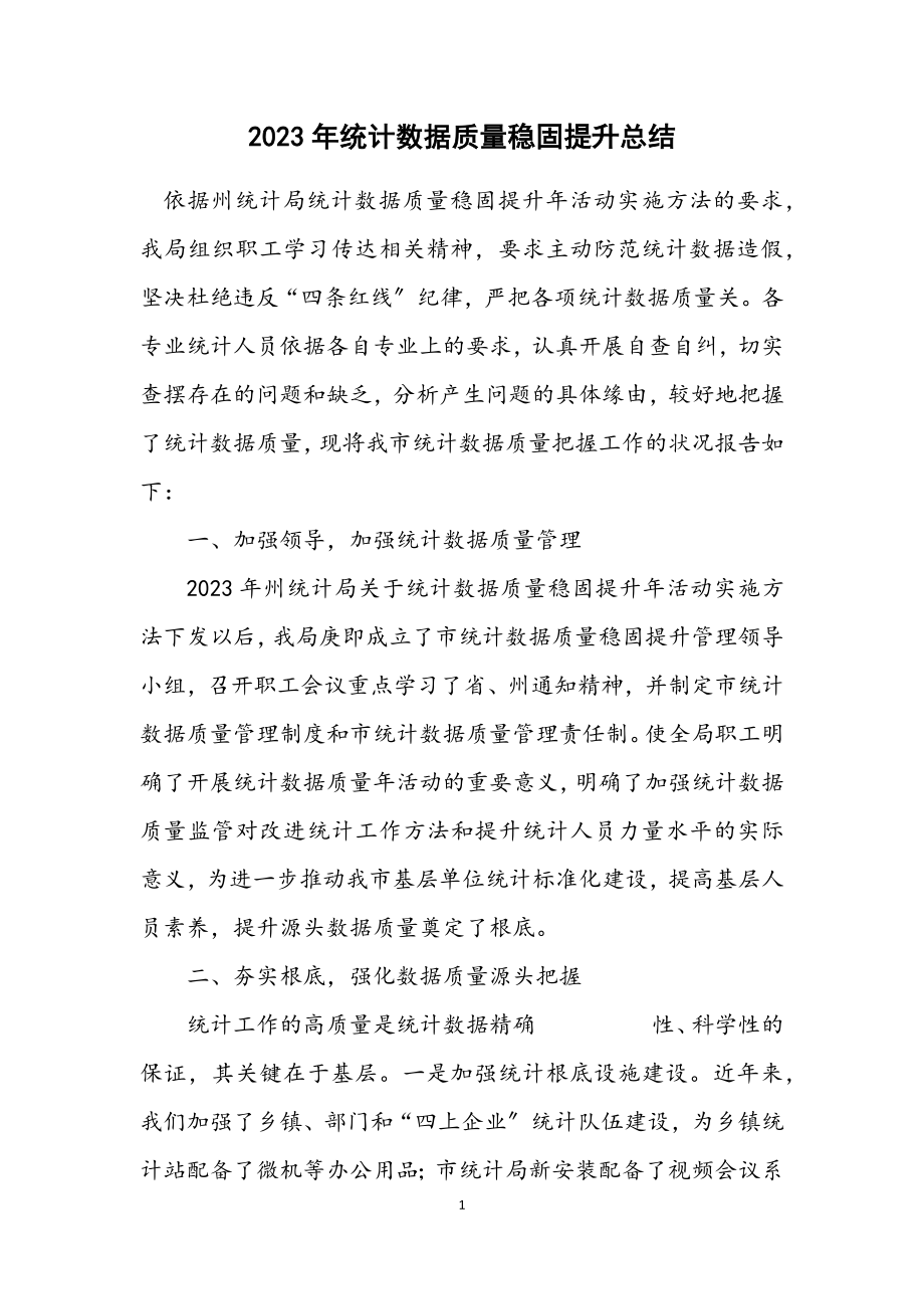 2023年统计数据质量巩固提升总结.docx_第1页