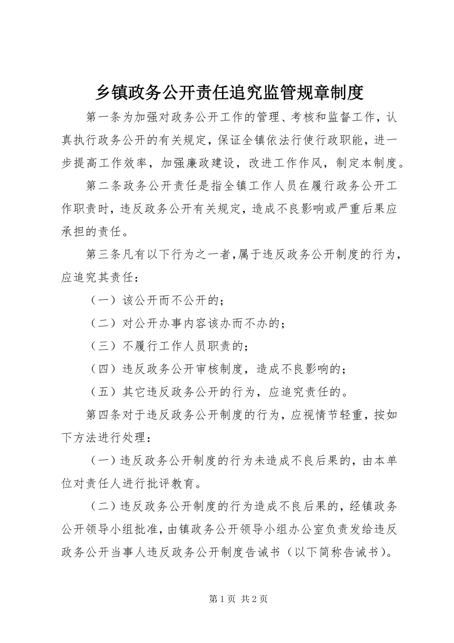 2023年乡镇政务公开责任追究监管规章制度.docx_第1页