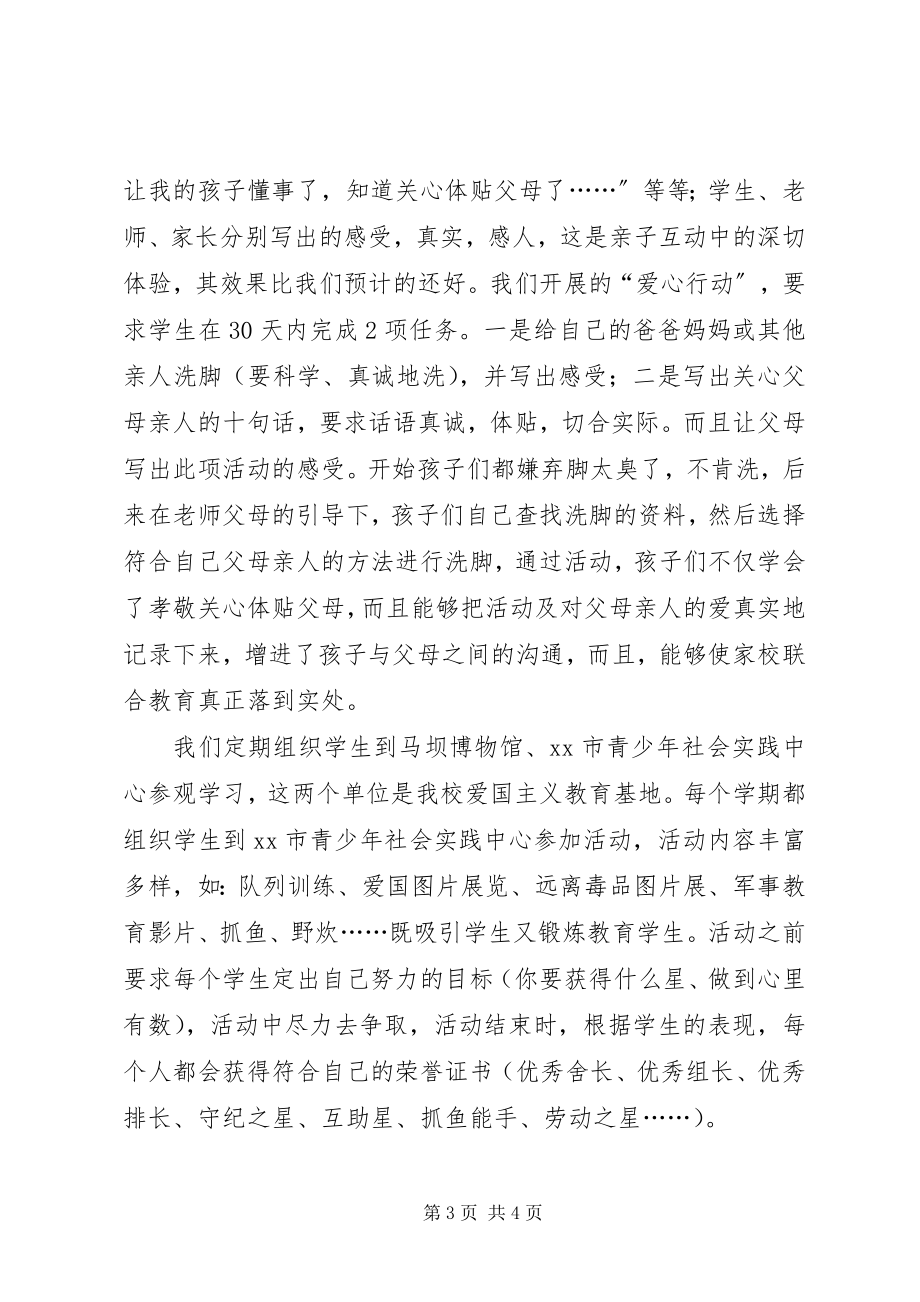 2023年市红旗大队事迹材料.docx_第3页