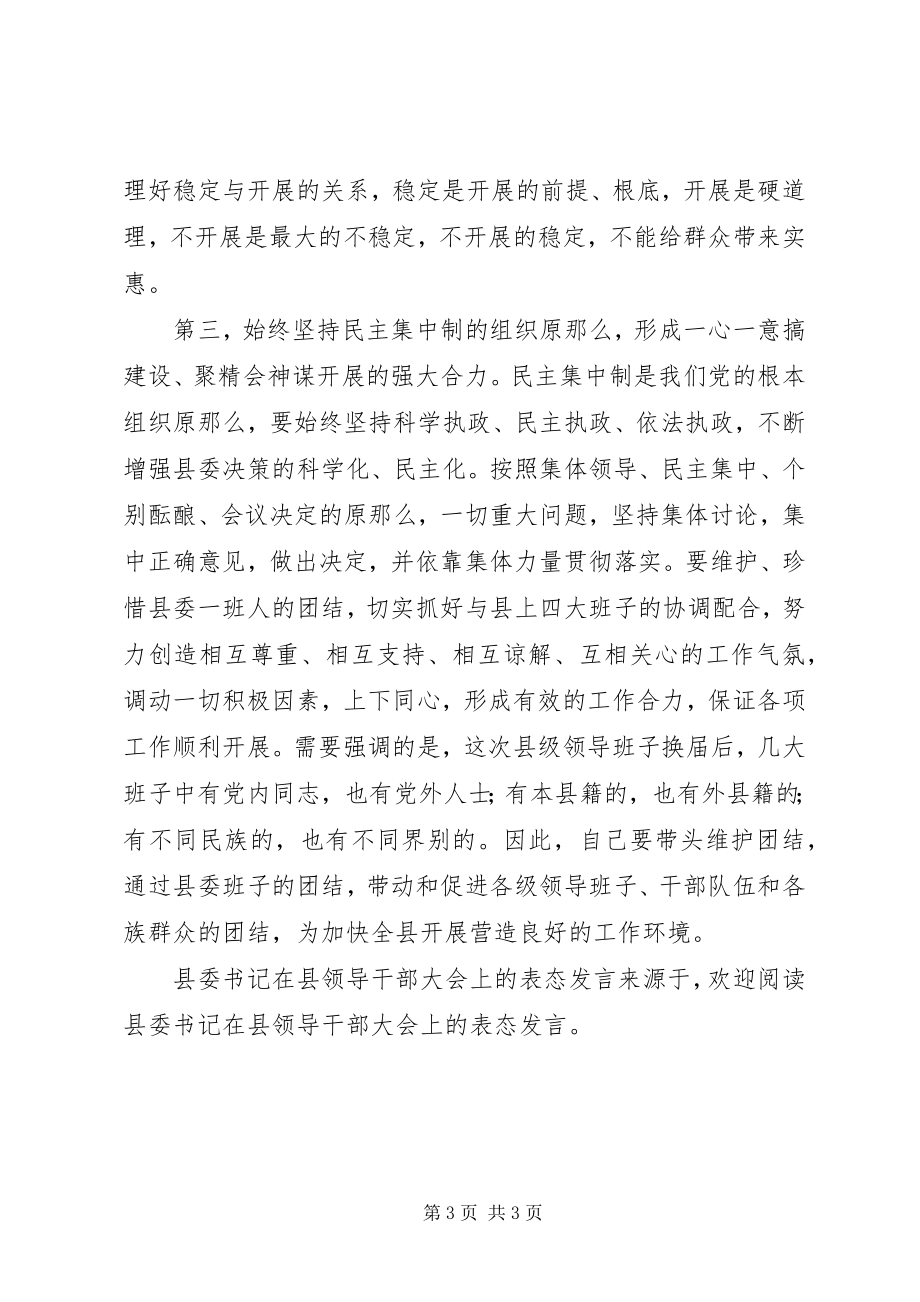 2023年县委书记在县领导干部大会上的表态讲话.docx_第3页