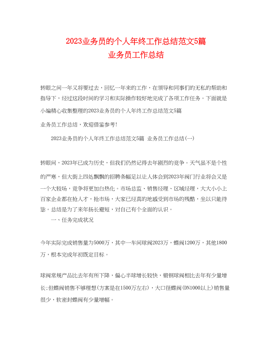 2023年业务员的个人终工作总结5篇 业务员工作总结.docx_第1页