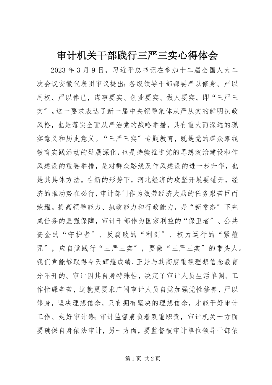 2023年审计机关干部践行三严三实心得体会.docx_第1页