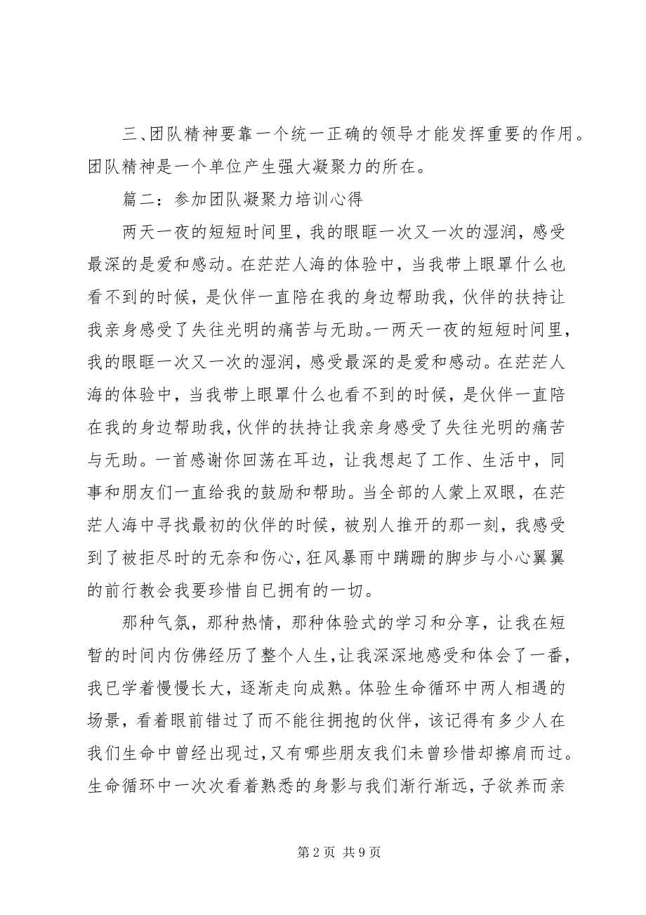 2023年参加《团队凝聚力培训》心得新编.docx_第2页