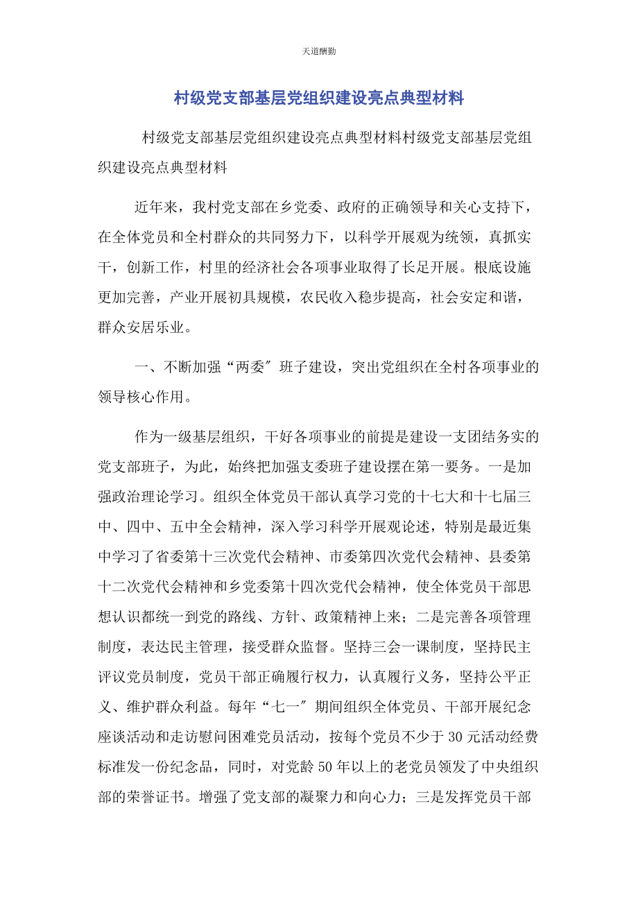 2023年村级党支部基层党组织建设亮点典型材料范文.docx_第1页