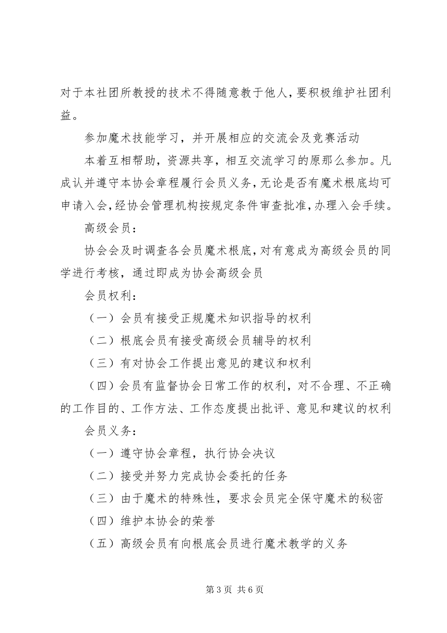 2023年魔术协会工作计划.docx_第3页