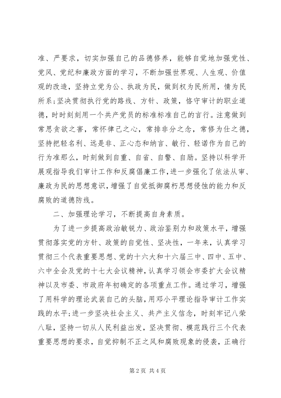 2023年审计工作总结审计工作个人总结.docx_第2页