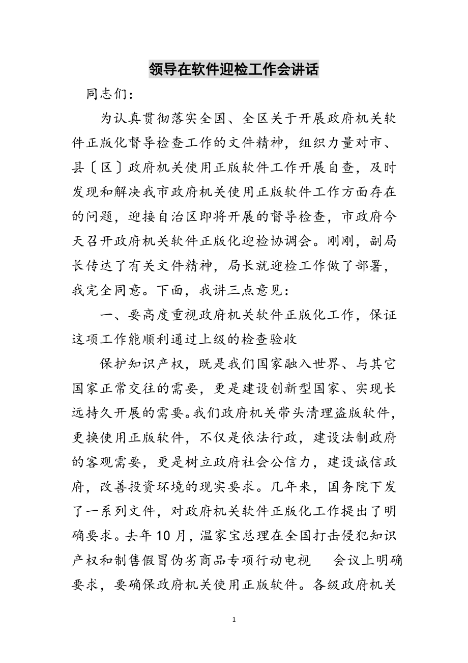 2023年领导在软件迎检工作会讲话范文.doc_第1页