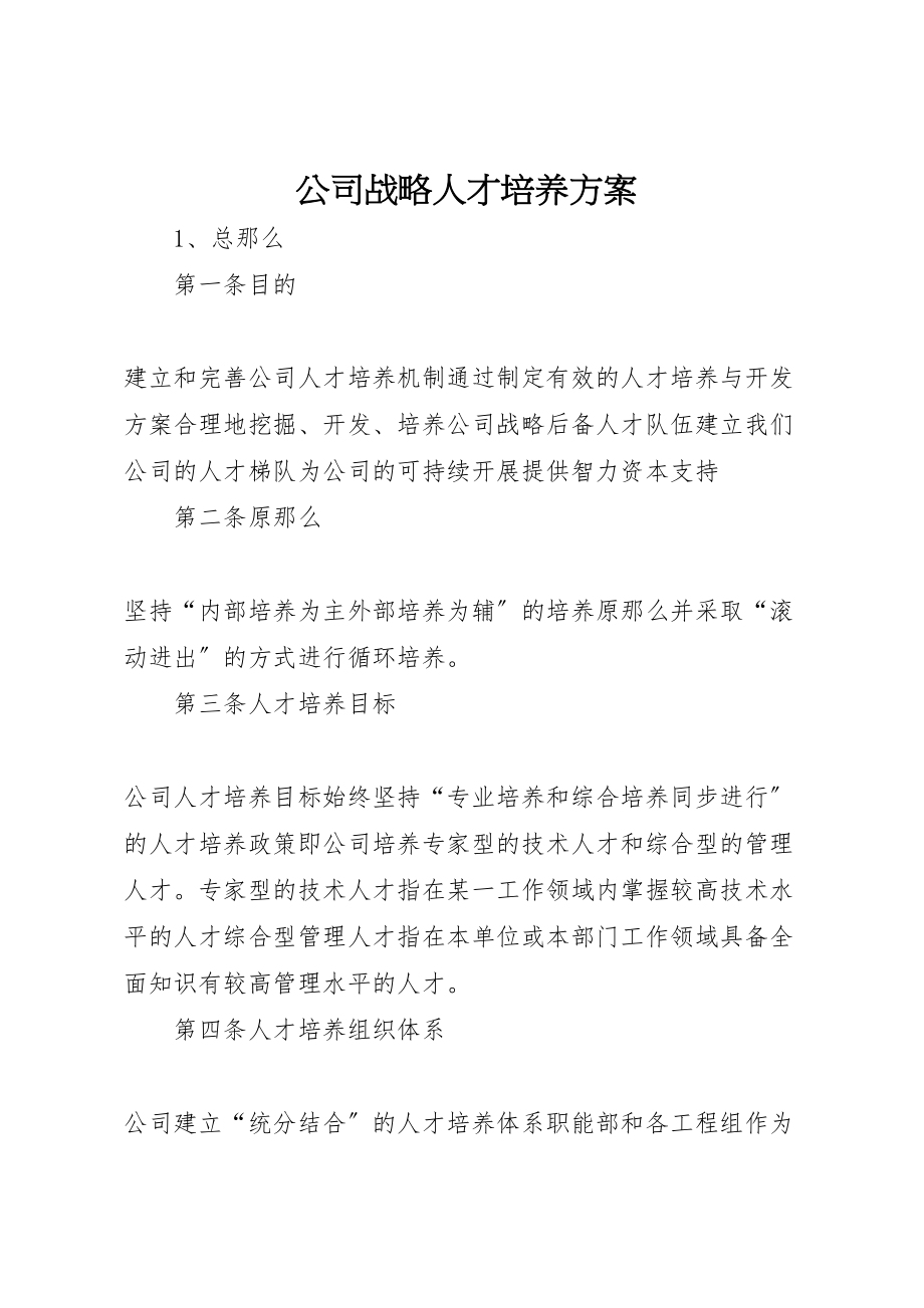 2023年公司战略人才培养方案.doc_第1页