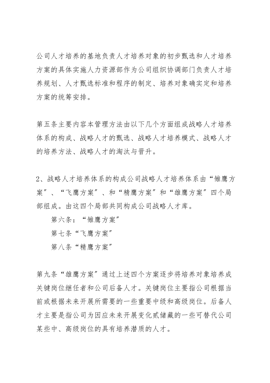 2023年公司战略人才培养方案.doc_第2页