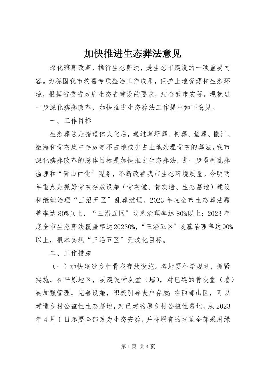 2023年加快推进生态葬法意见.docx_第1页