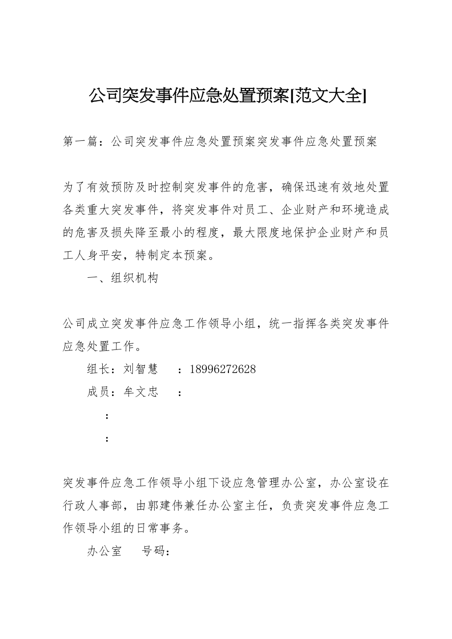 2023年公司突发事件应急处置预案范文大全.doc_第1页