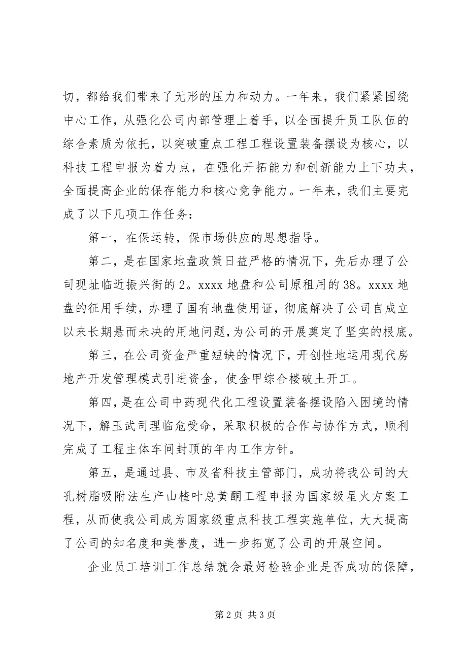 2023年新成立公司年终总结.docx_第2页