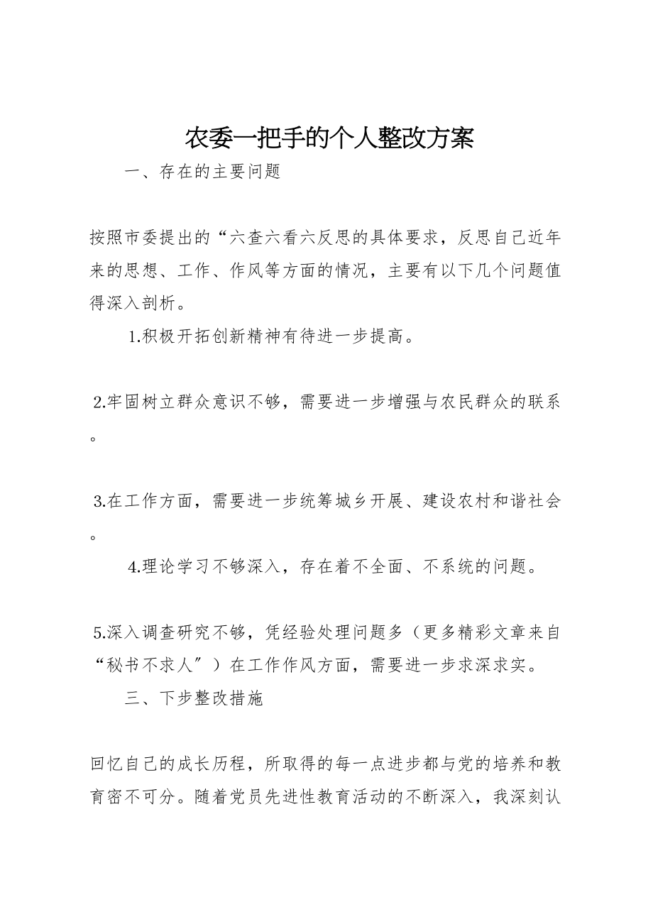 2023年农委一把手的个人整改方案 2.doc_第1页