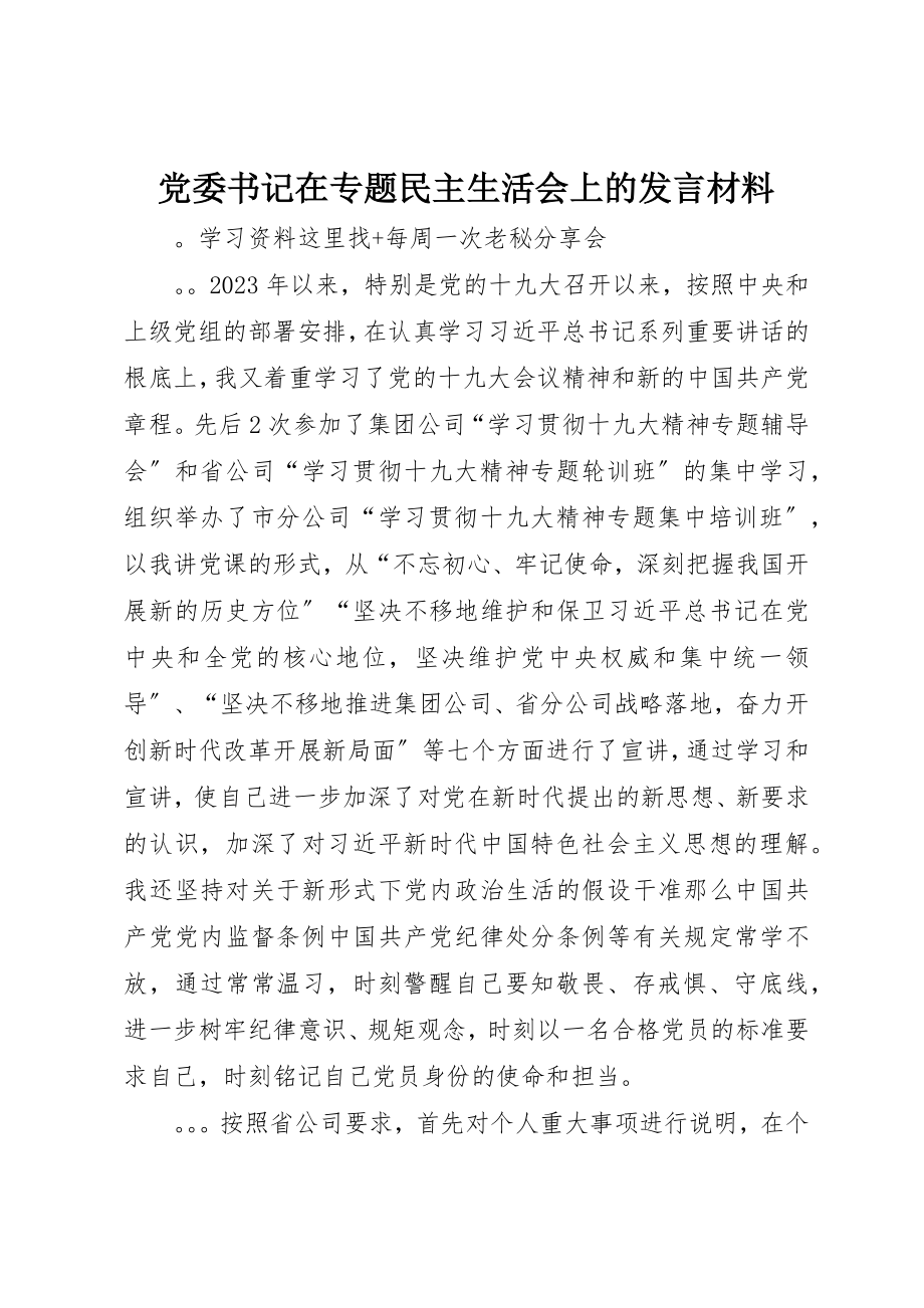 2023年党委书记在专题民主生活会上的讲话材料.docx_第1页