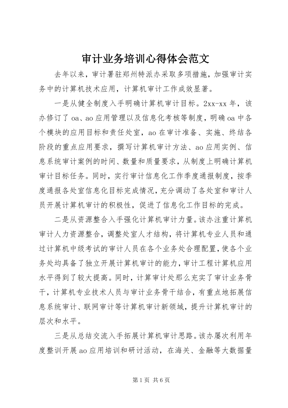 2023年审计业务培训心得体会2.docx_第1页